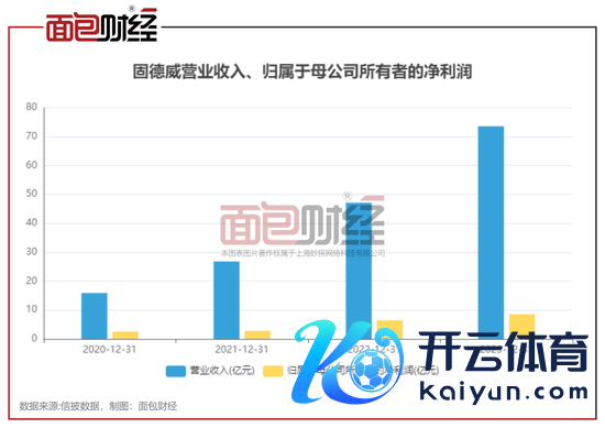 九游会j9·游戏「中国」官方网站固德威线路了2024年一季报-九游会j9·游戏「中国」官方网站