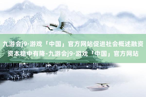 九游会j9·游戏「中国」官方网站促进社会概述融资资本稳中有降-九游会j9·游戏「中国」官方网站