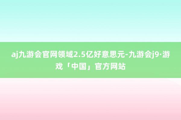 aj九游会官网领域2.5亿好意思元-九游会j9·游戏「中国」官方网站